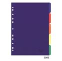 Picture of A4 Index 5 Tab Rainbow